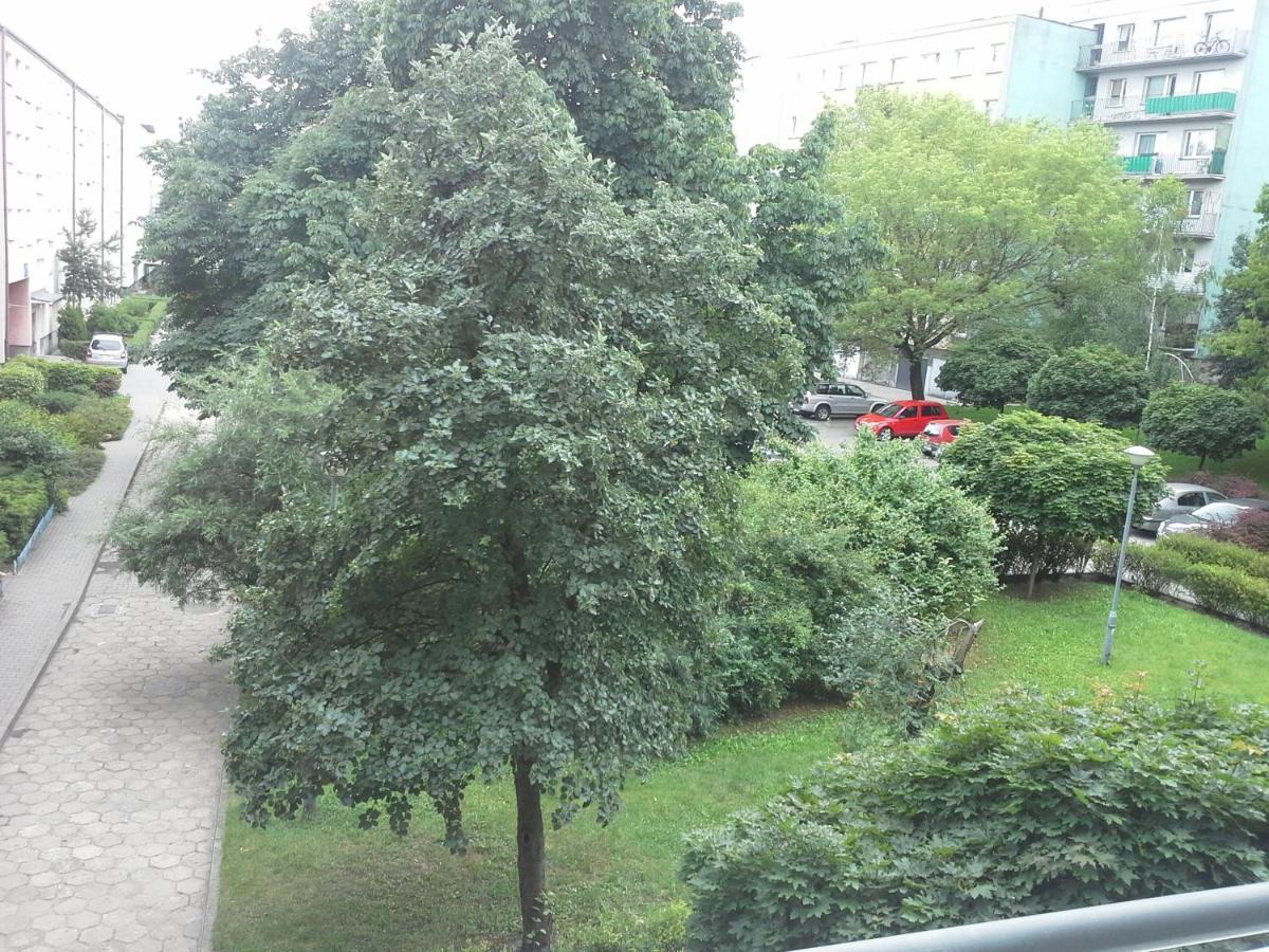 3030 Jana Spychalskiego 32 - Tanie Pokoje W Apartamencie - Samodzielne Zameldowanie - Self Check In Познань Екстер'єр фото